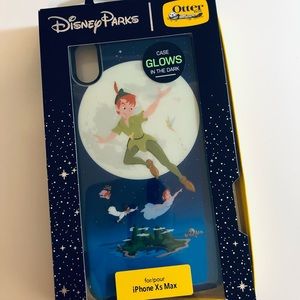 Disney Parks Otter Box